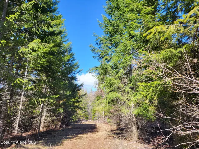 $497,000 | 7380 East Bell Canyon Road, Harrison, ID 83833