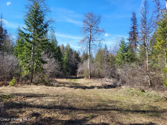 $497,000 | 7380 East Bell Canyon Road, Harrison, ID 83833