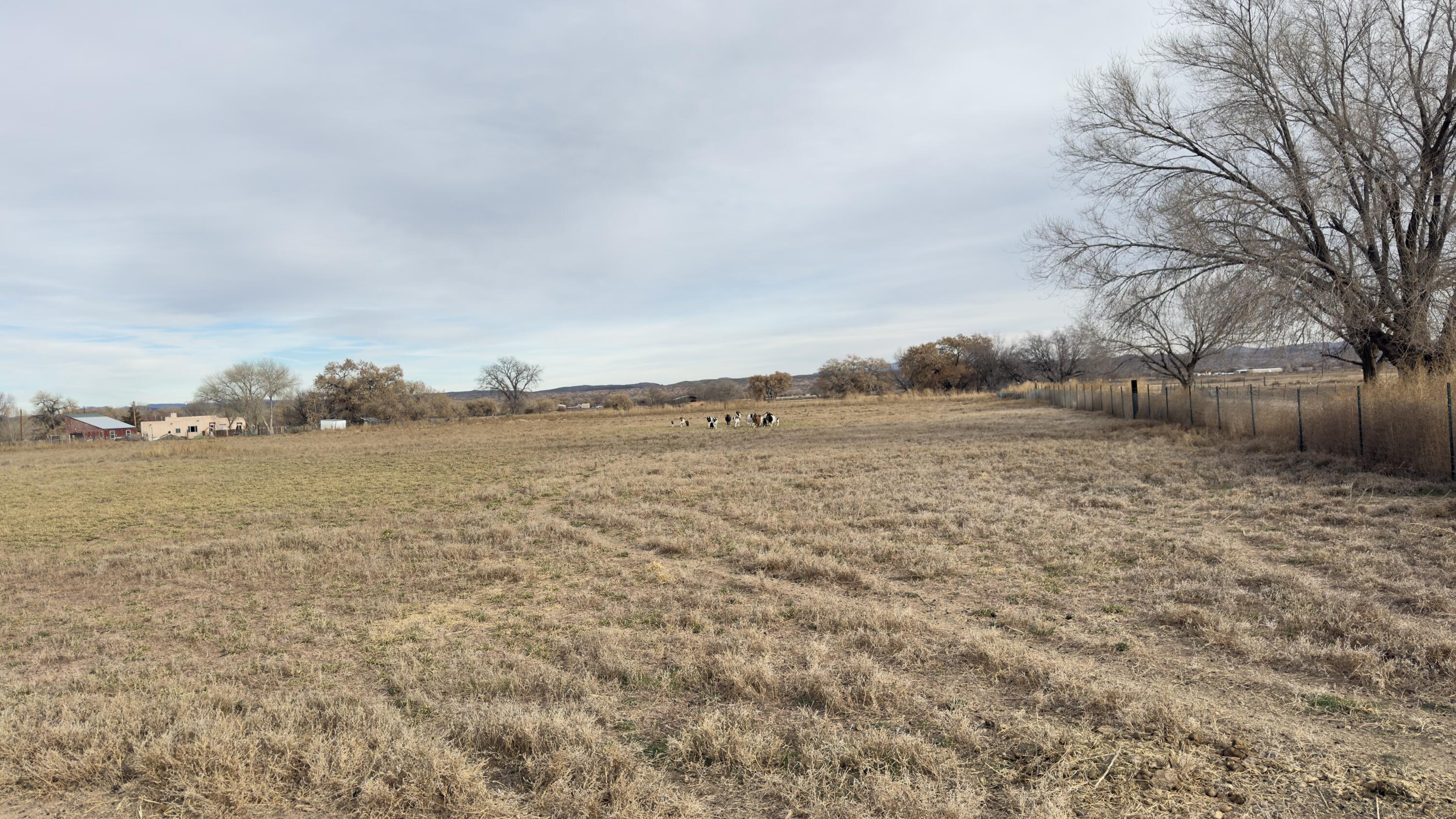 2 Community Road Polvadera, NM 87828 - Photo 19 of 20 Gallery Image 19