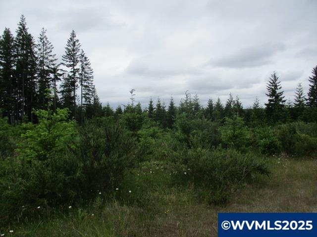 0 Gruber South Road Estacada, OR 97023 - Photo 8 of 30