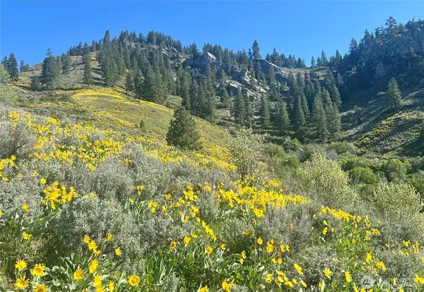 $810,000 | 9505 Plateau Road, Cashmere, WA 98815