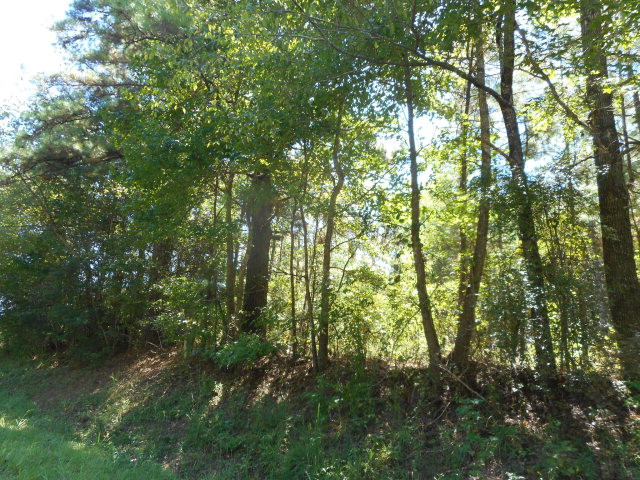 Xxx Farmer Road Smithdale, MS 39664 - Photo 3 of 3 Photo 3