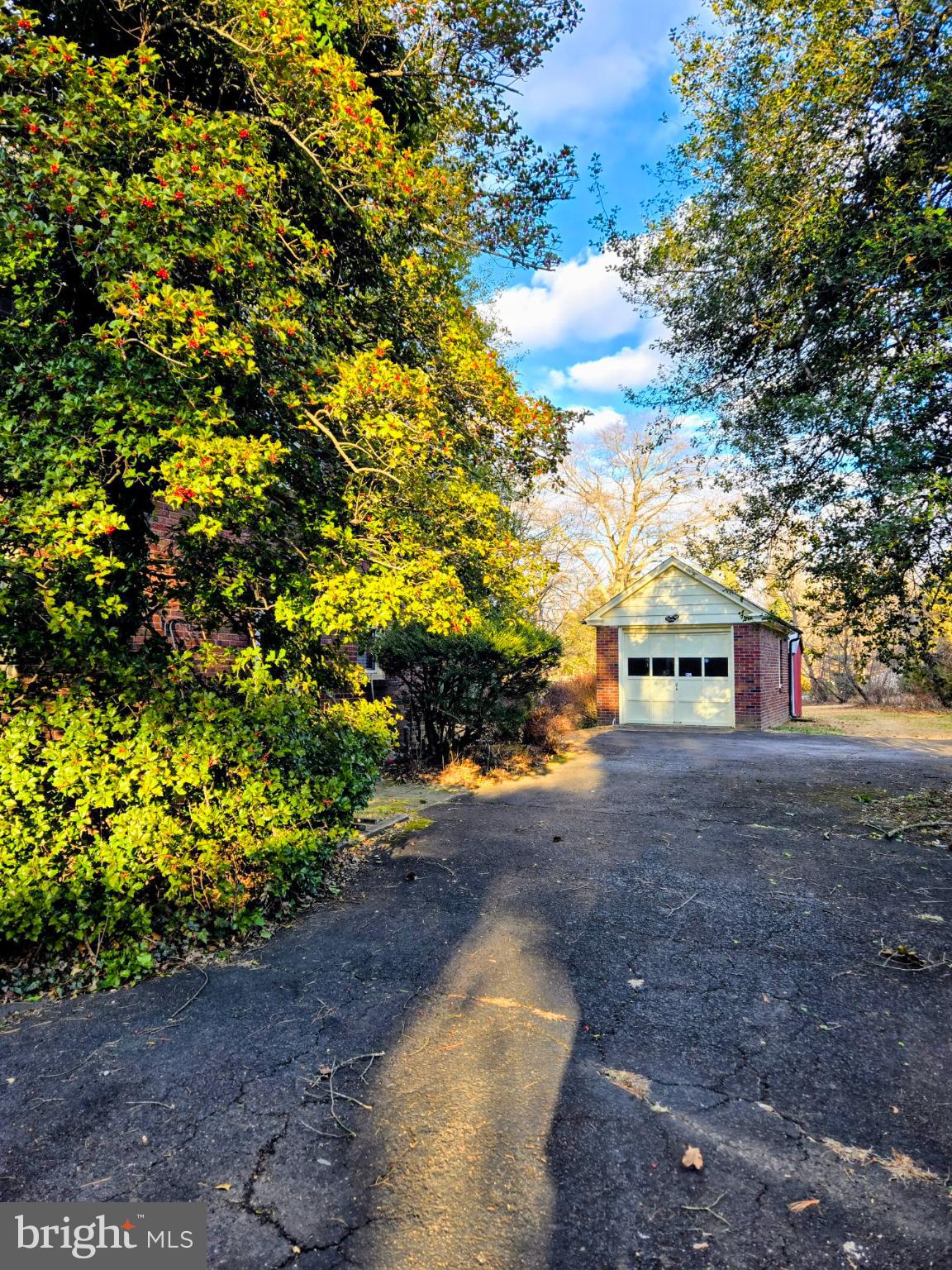 215 Red Lion Road Huntingdon Valley, PA 19006 - Photo 5 of 5 Charming driveway framed by lush greenery.