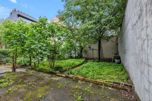 a view of a backyard with potted plants and large trees