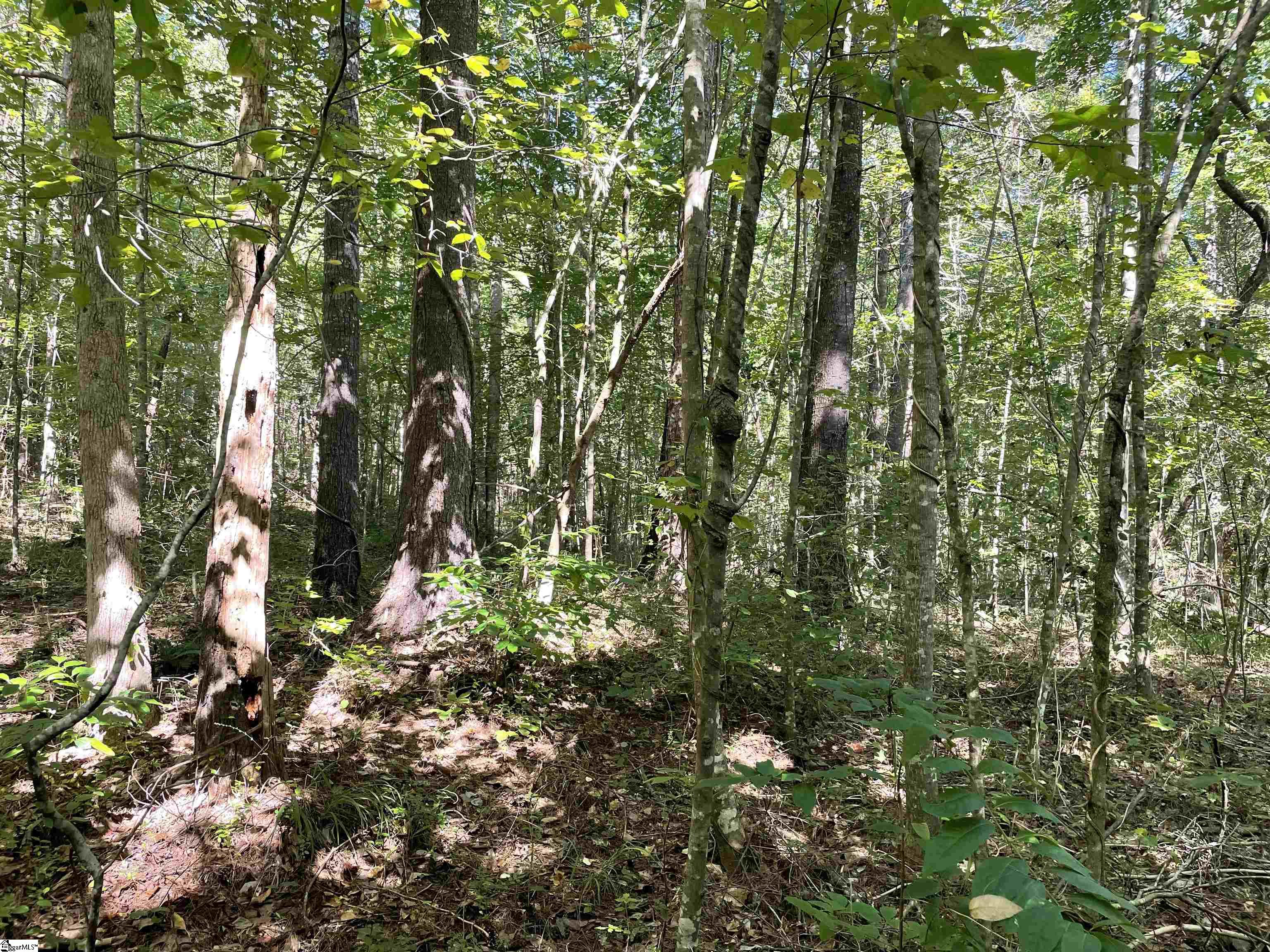 111 Chauga Road Westminster, SC 29693 - Photo 32 of 50