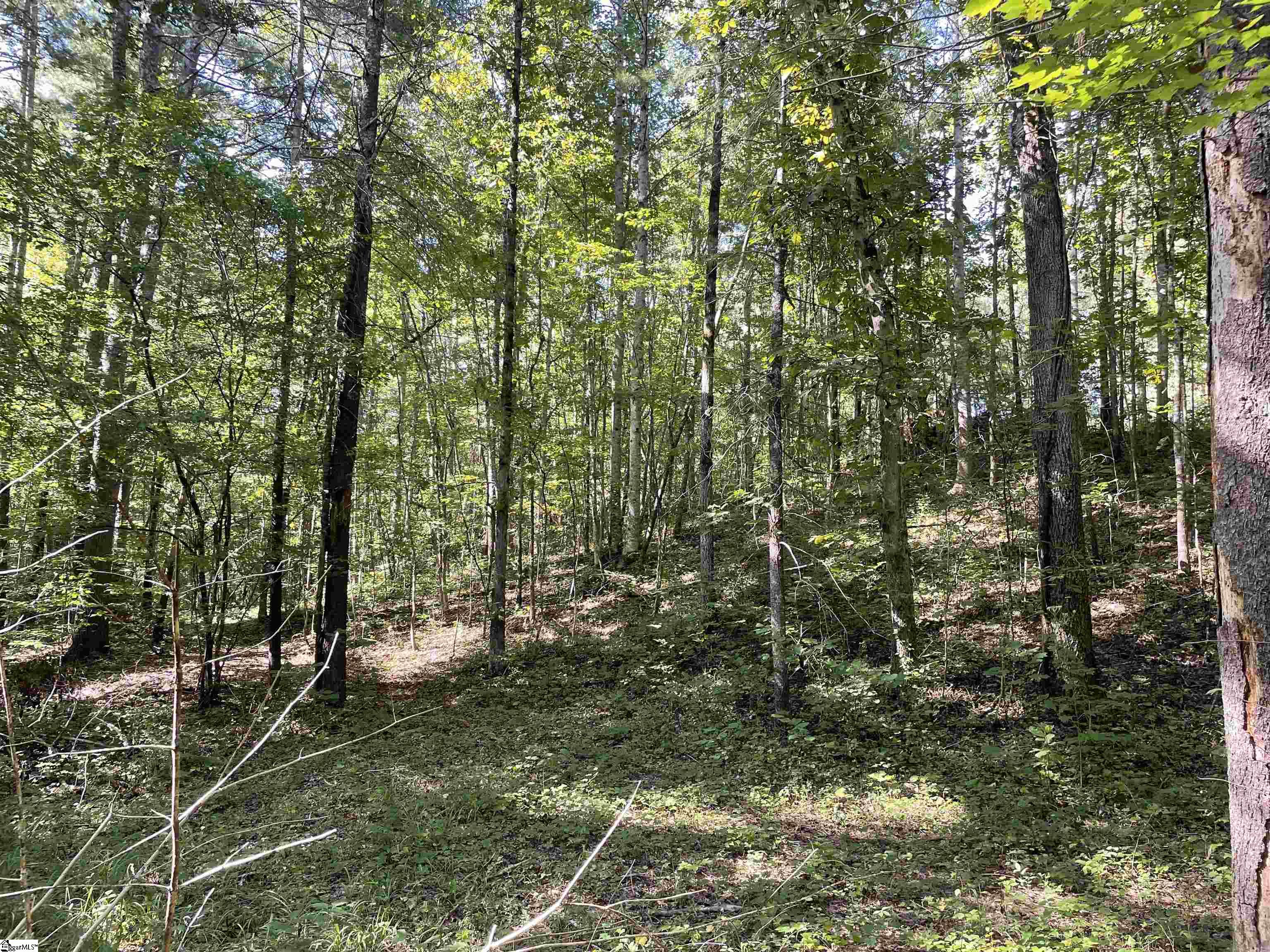 111 Chauga Road Westminster, SC 29693 - Photo 34 of 50