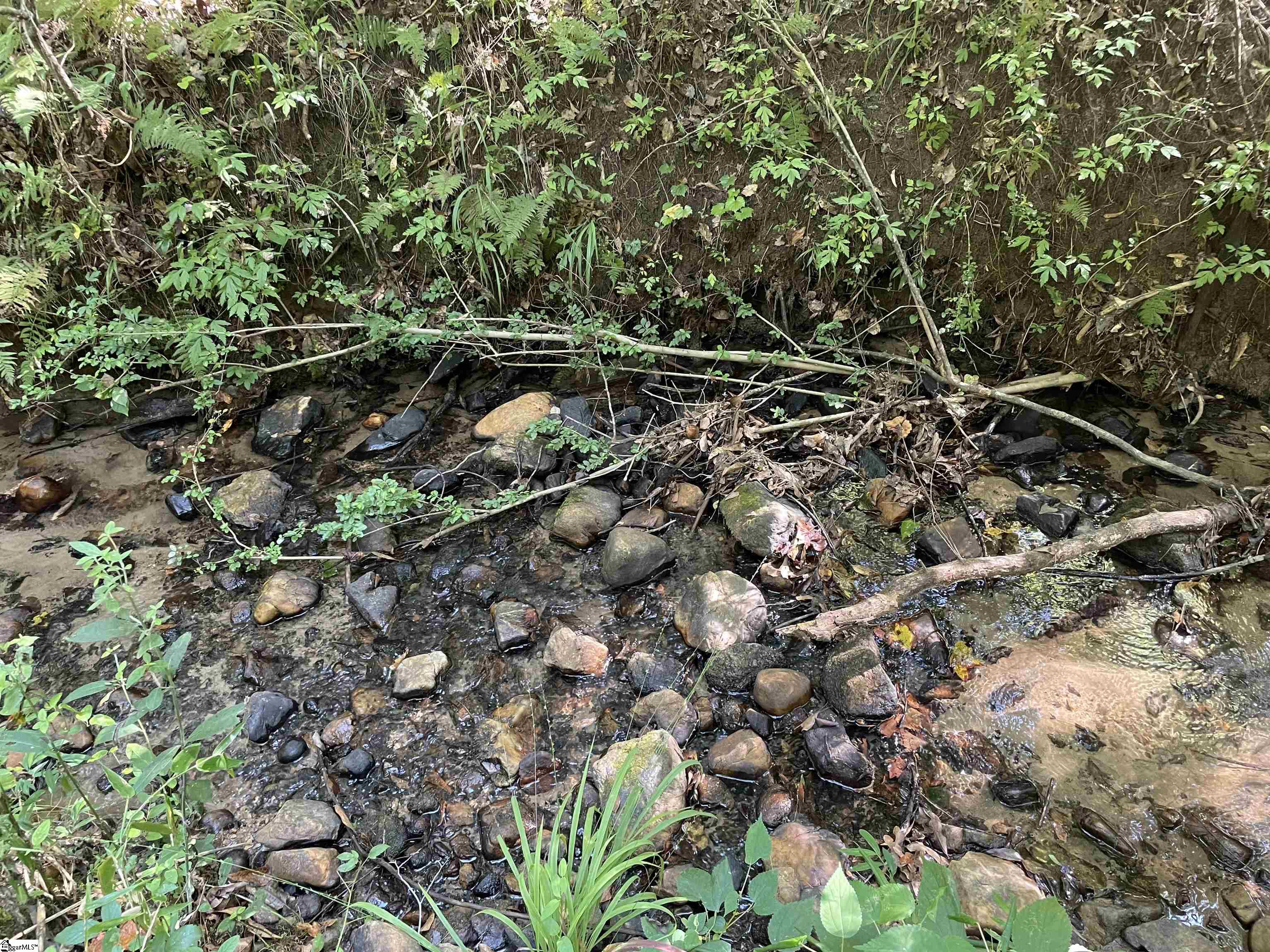 111 Chauga Road Westminster, SC 29693 - Photo 35 of 50