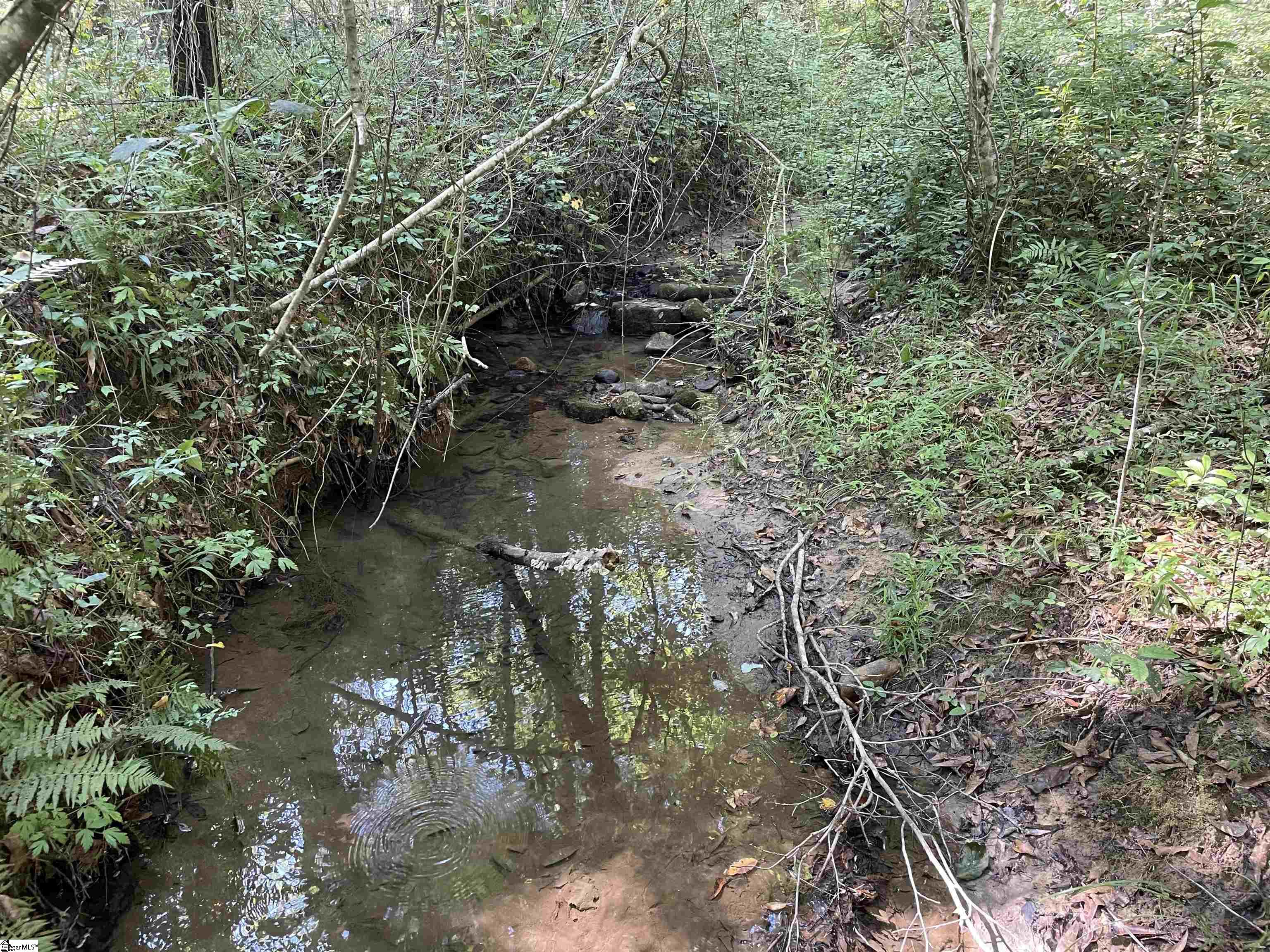 111 Chauga Road Westminster, SC 29693 - Photo 36 of 50