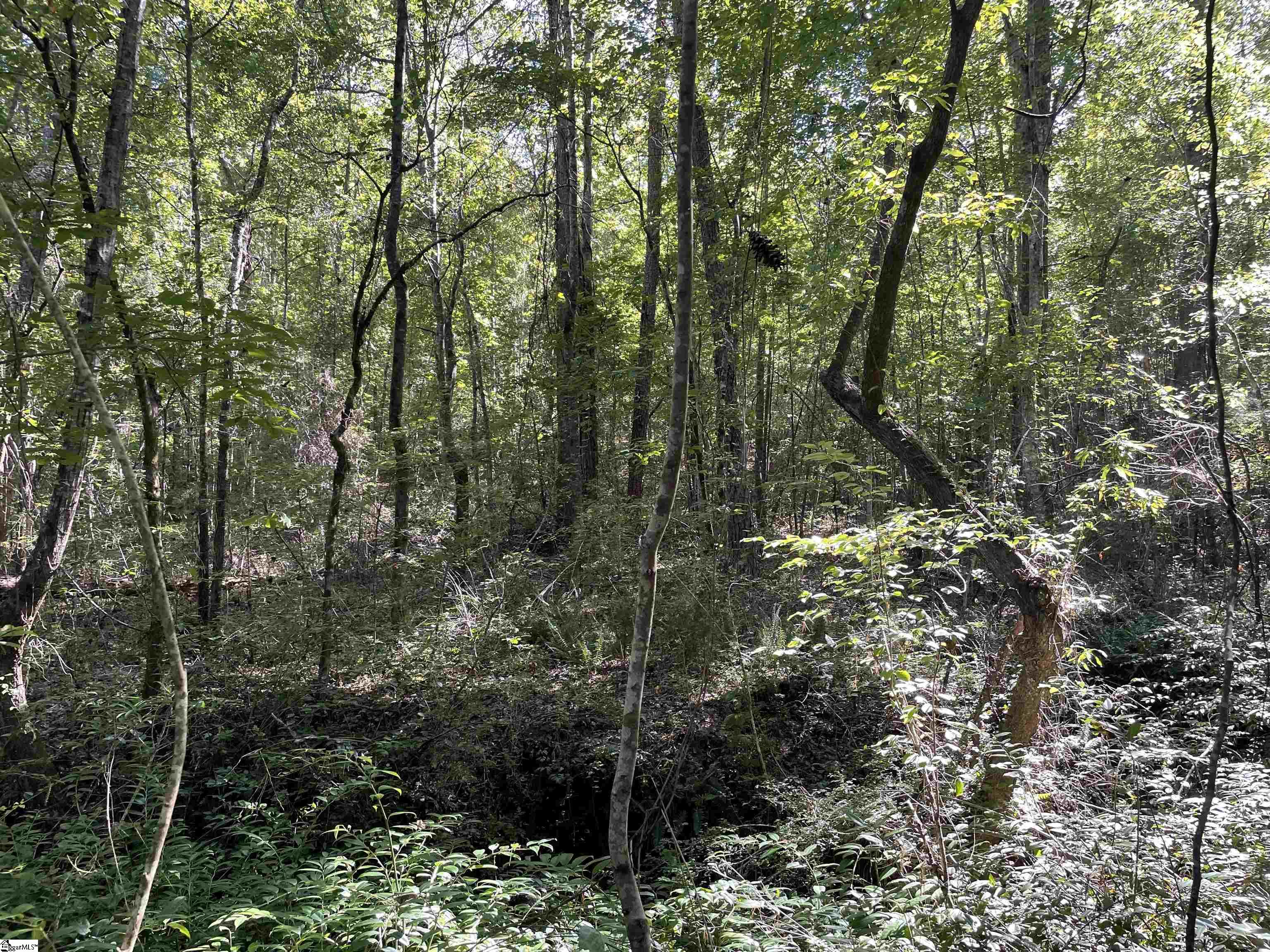 111 Chauga Road Westminster, SC 29693 - Photo 37 of 50