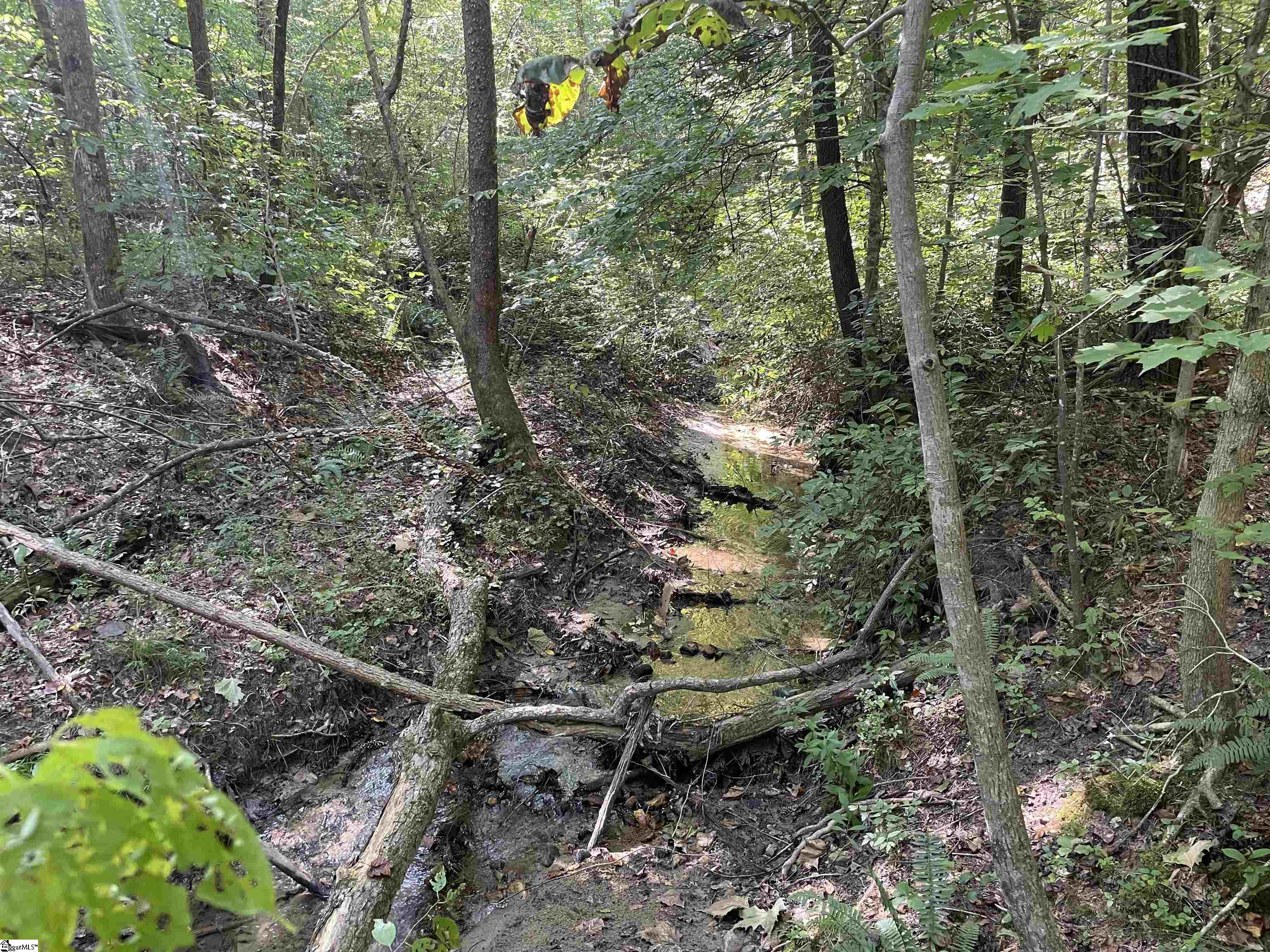 111 Chauga Road Westminster, SC 29693 - Photo 38 of 50