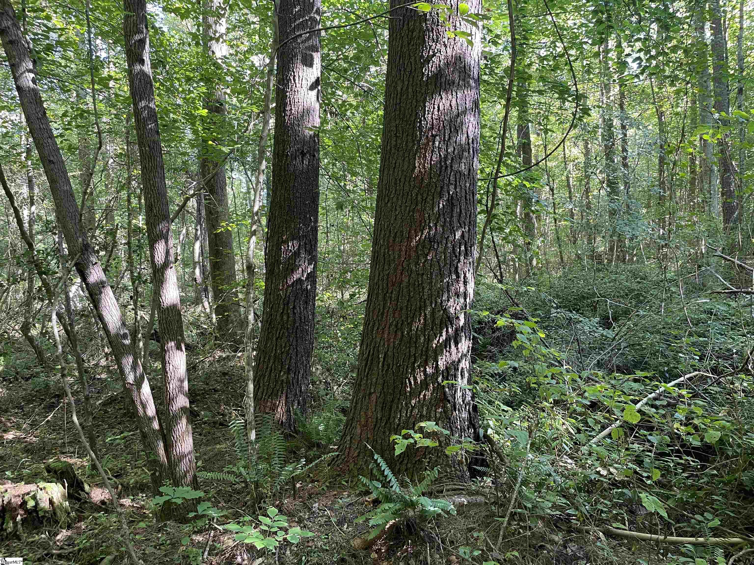 111 Chauga Road Westminster, SC 29693 - Photo 40 of 50