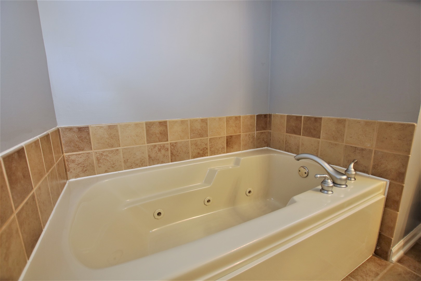 286 Timber Trails Boulevard Gilberts, IL 60136 - Photo 13 of 18