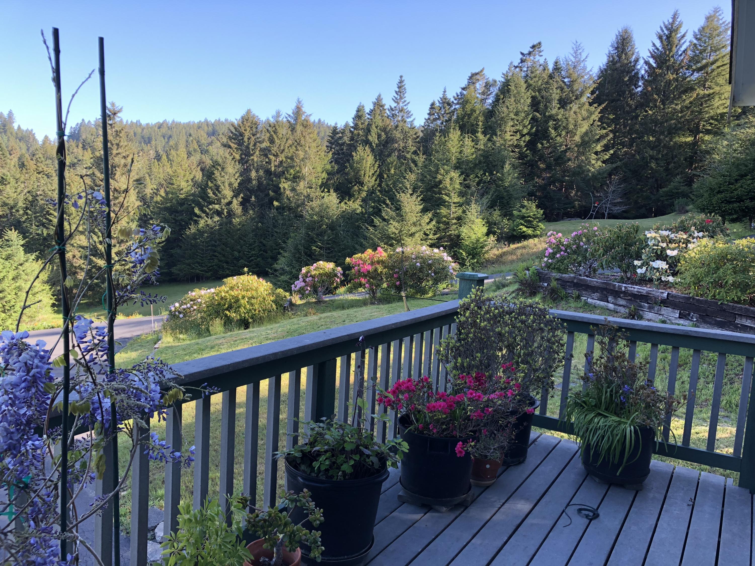 1465 Splinter Ln Bayside Lane Arcata, CA 95521 - Photo 5 of 40