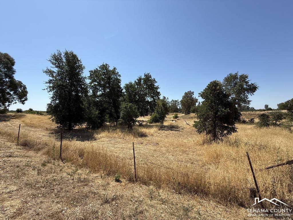 4471 Kopta Road Corning, CA 96021 - Photo 13 of 15