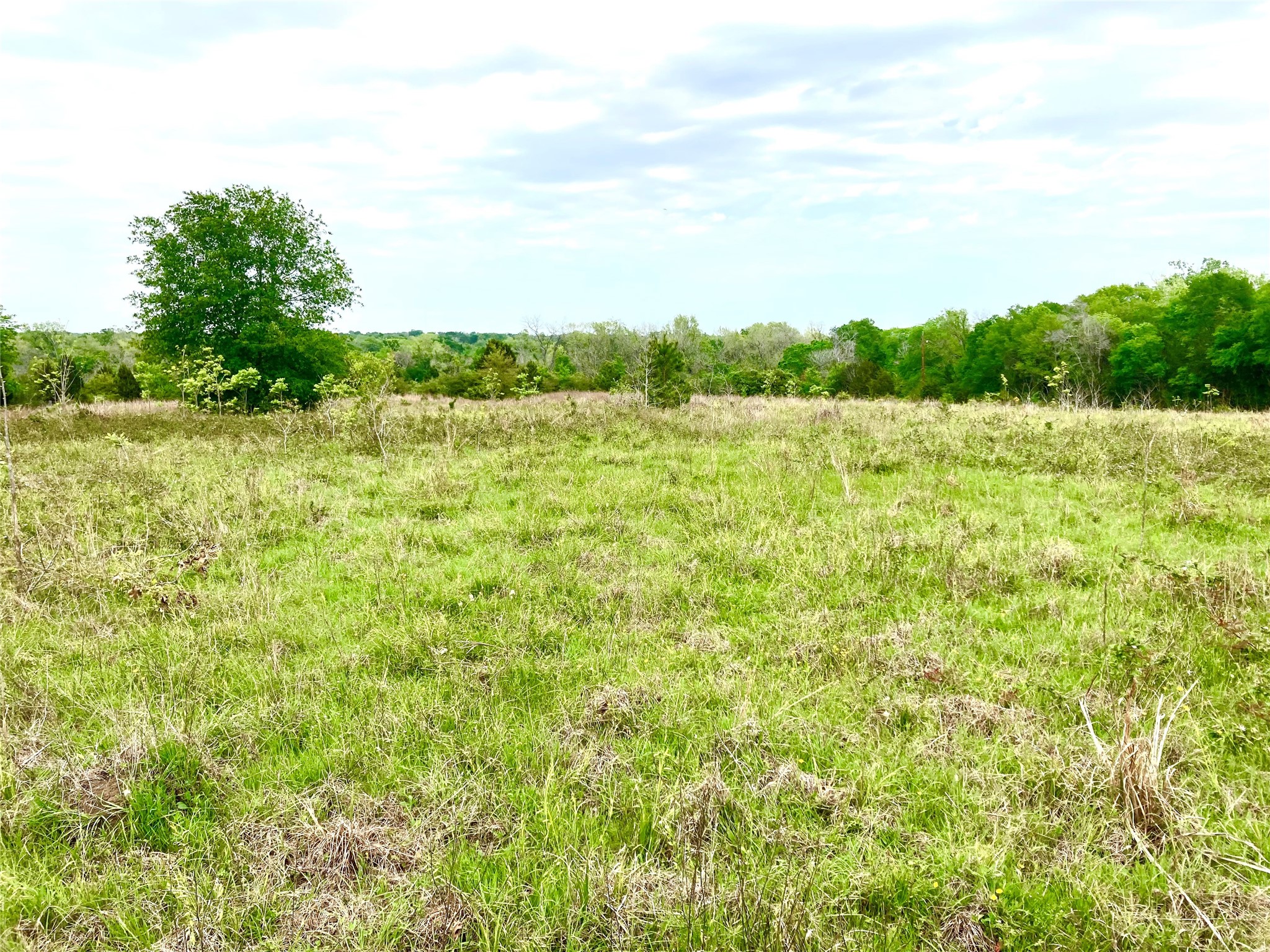 775 South FM 441 Road Louise, TX 77455 - Photo 3 of 14