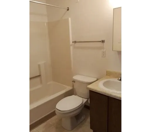 a bathroom with a sink and a toilet