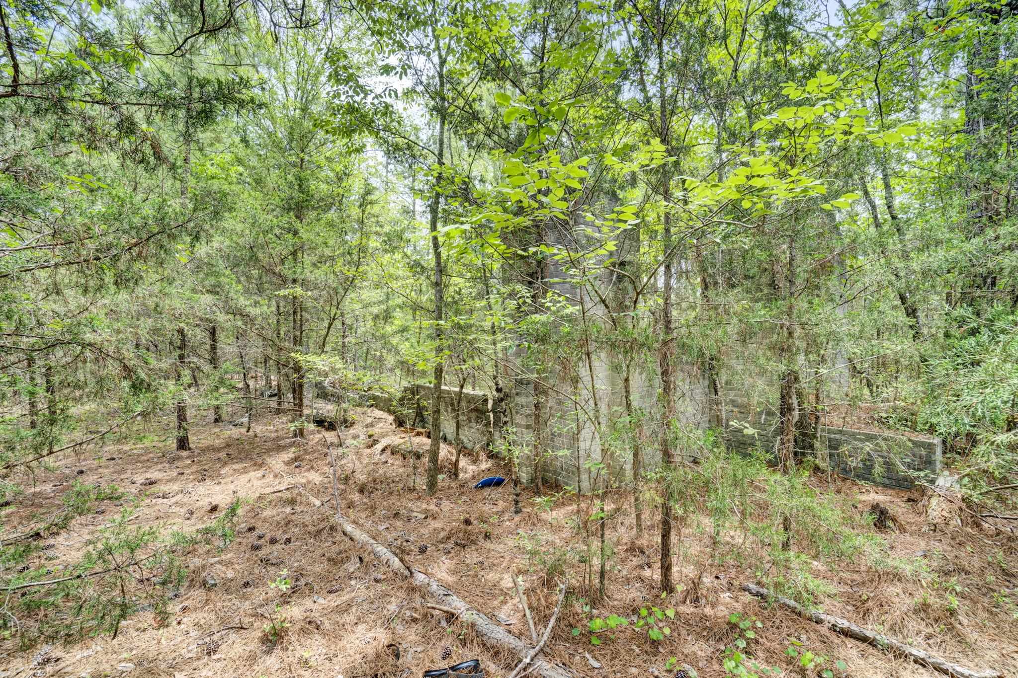 0 Stomp Springs Circle Clinton, SC 29325 - Photo 12 of 22