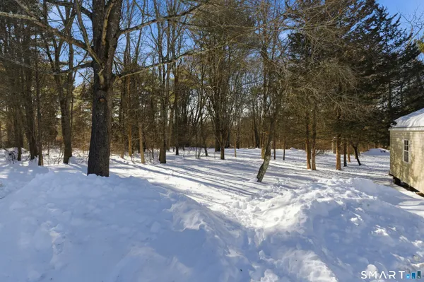 a view of road with trees