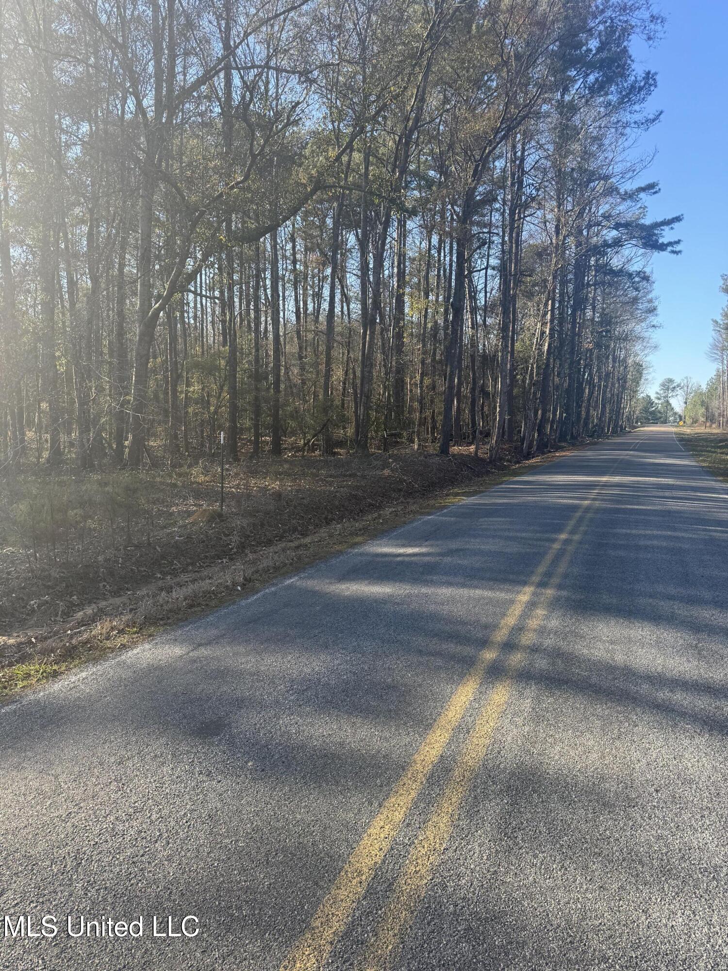 Lake Road Pelahatchie, MS 39145 - Photo 2 of 4 IMG_0860