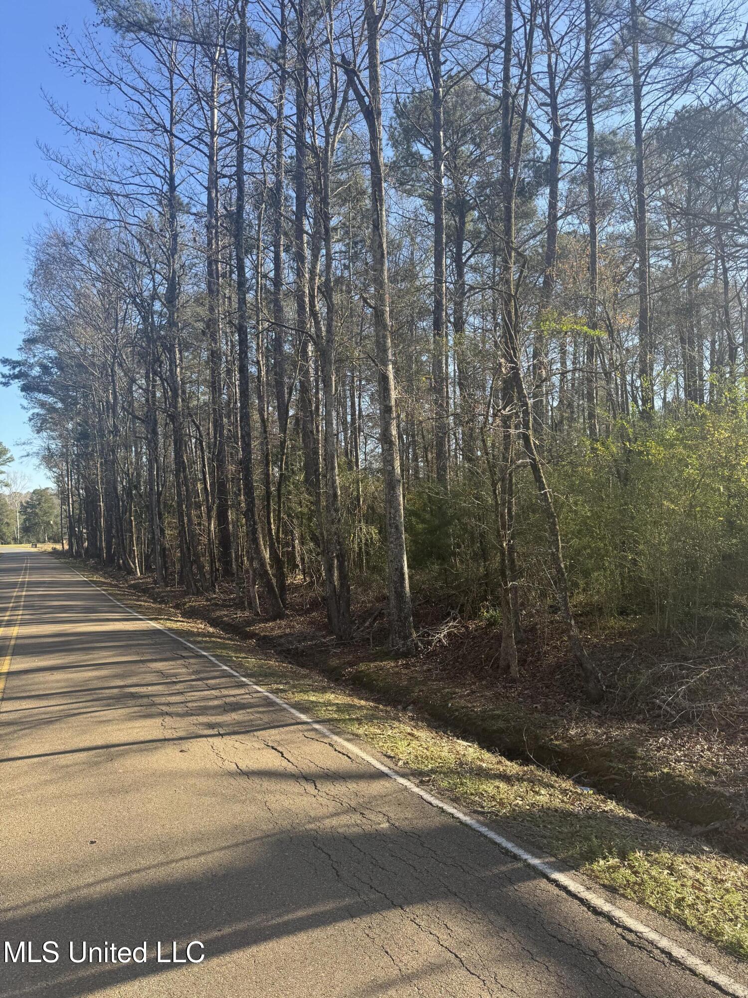 Lake Road Pelahatchie, MS 39145 - Photo 3 of 4 IMG_0858