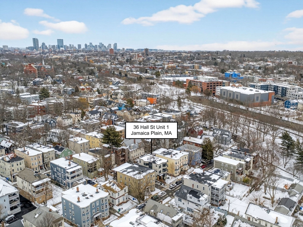 36 Hall Street, Unit 1 Boston, MA 02130 - Photo 31 of 32