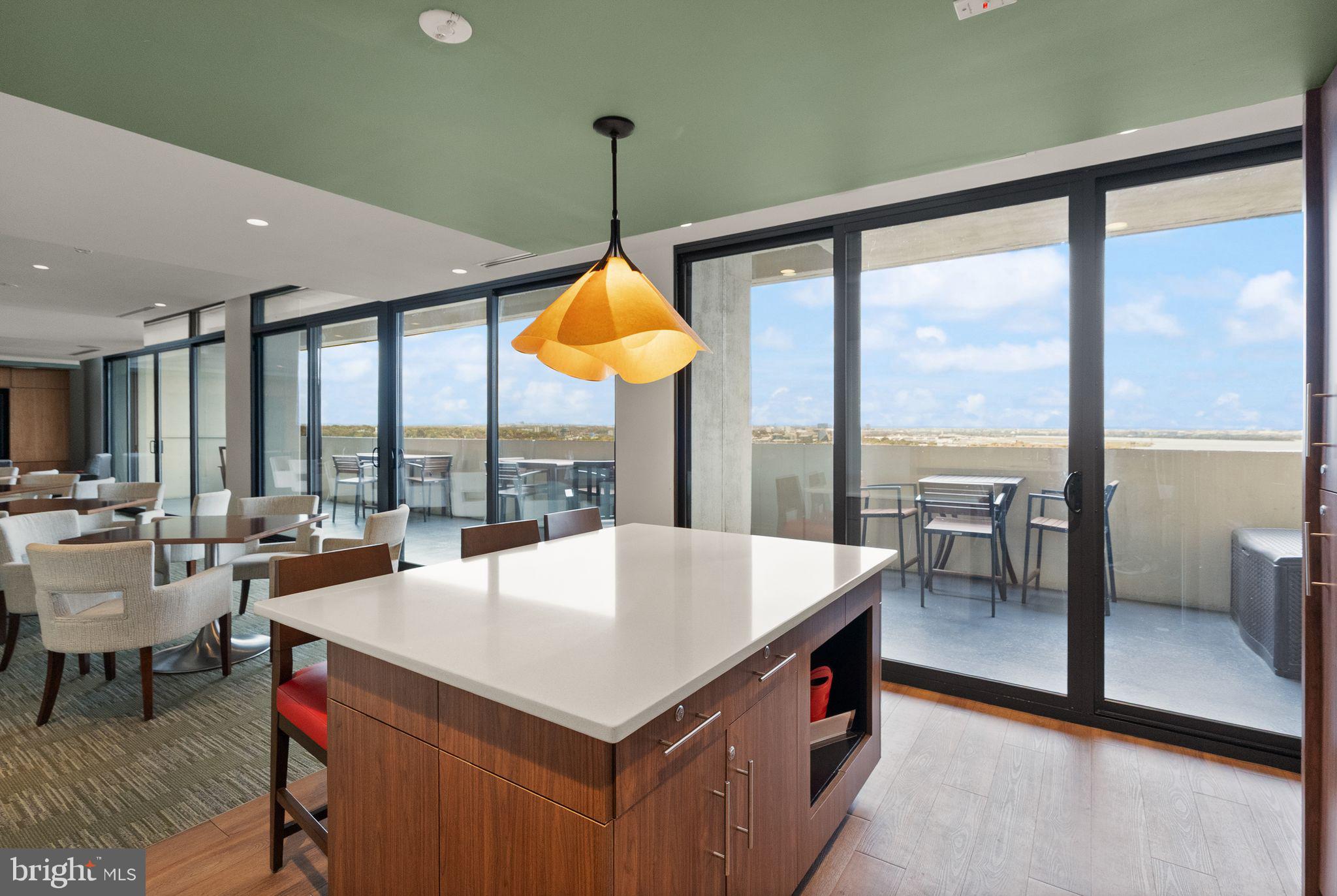 400 Madison Street, Unit 409 Alexandria, VA 22314 - Photo 61 of 98 a room with pool table and a potted plant