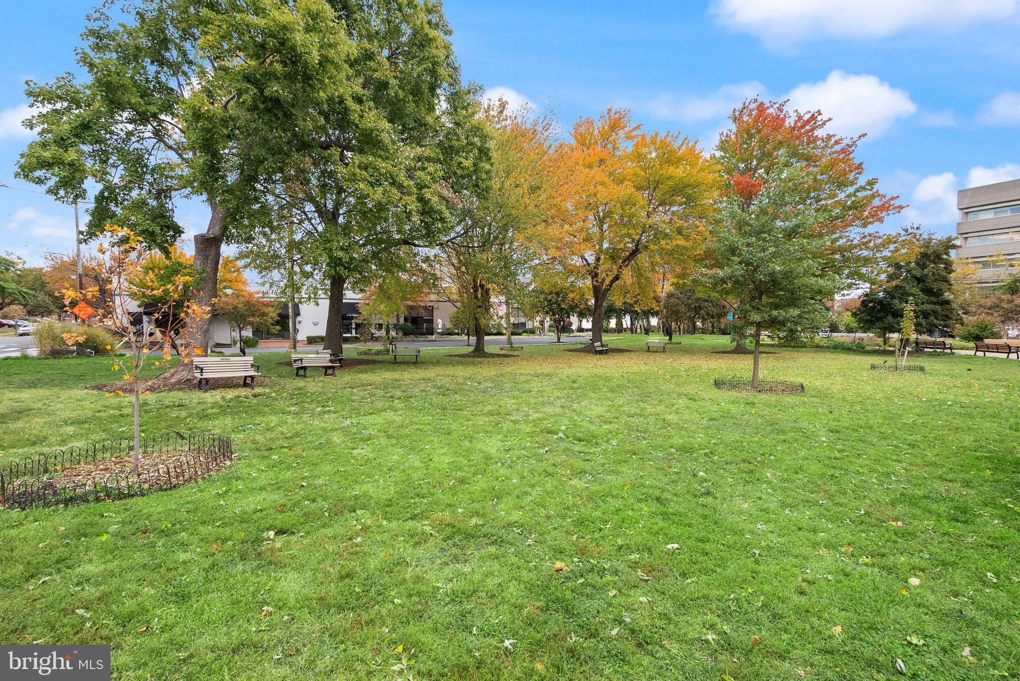 400 Madison Street, Unit 409 Alexandria, VA 22314 - Photo 81 of 98