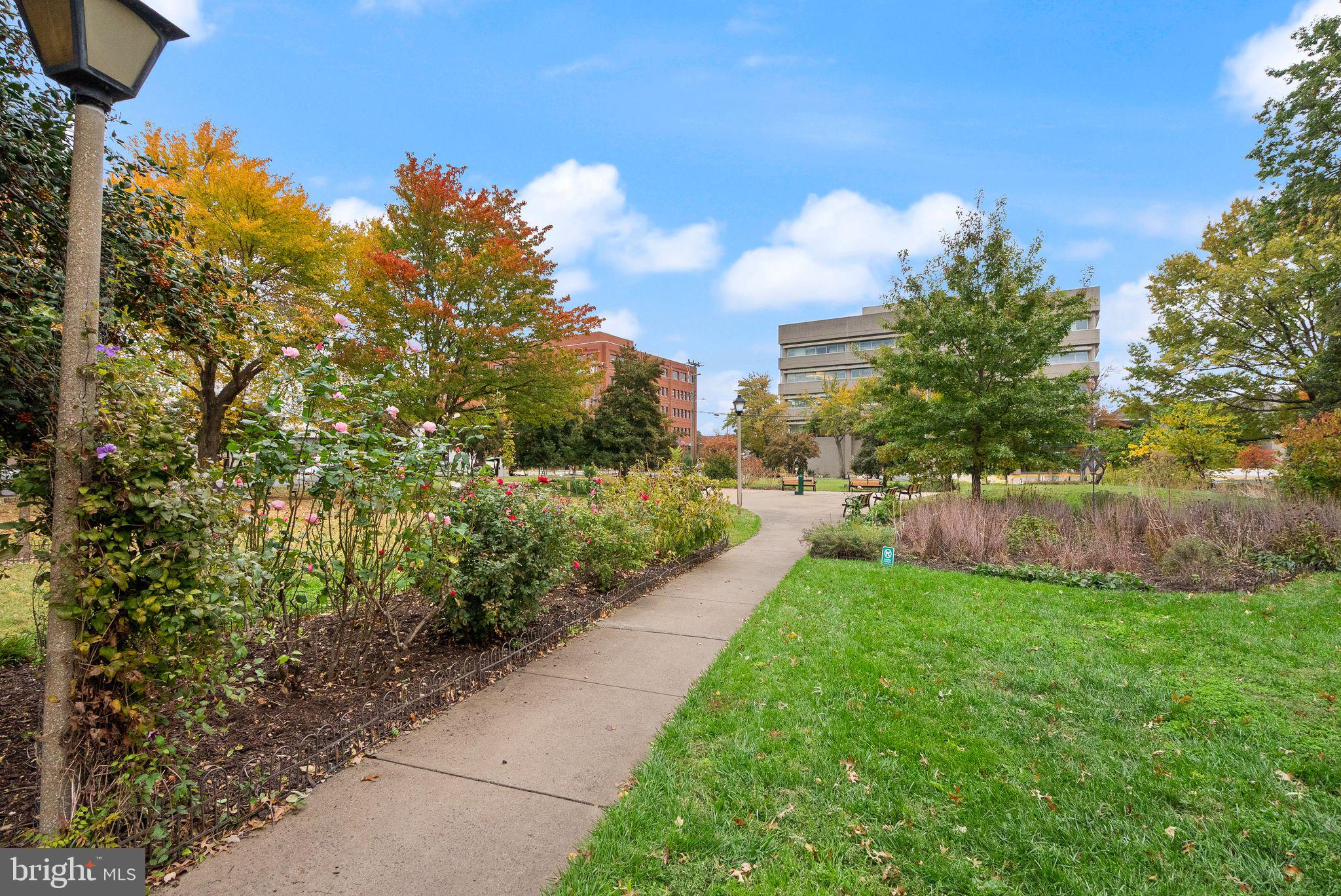 400 Madison Street, Unit 409 Alexandria, VA 22314 - Photo 82 of 98