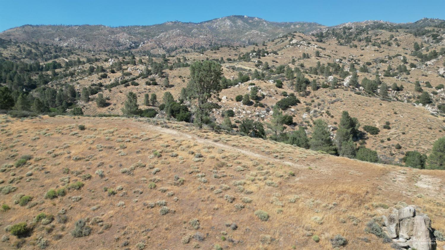 0 Piute Mountain Road Caliente, CA 93518 - Photo 6 of 35 Gallery Image 6