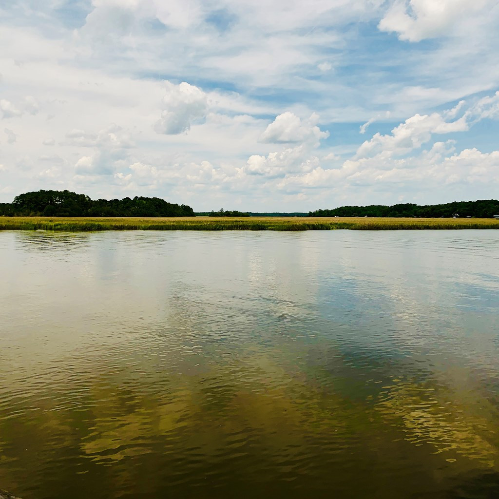 0 Peters Point Road Edisto Island, SC 29438 - Photo 11 of 11 Gallery Image 11