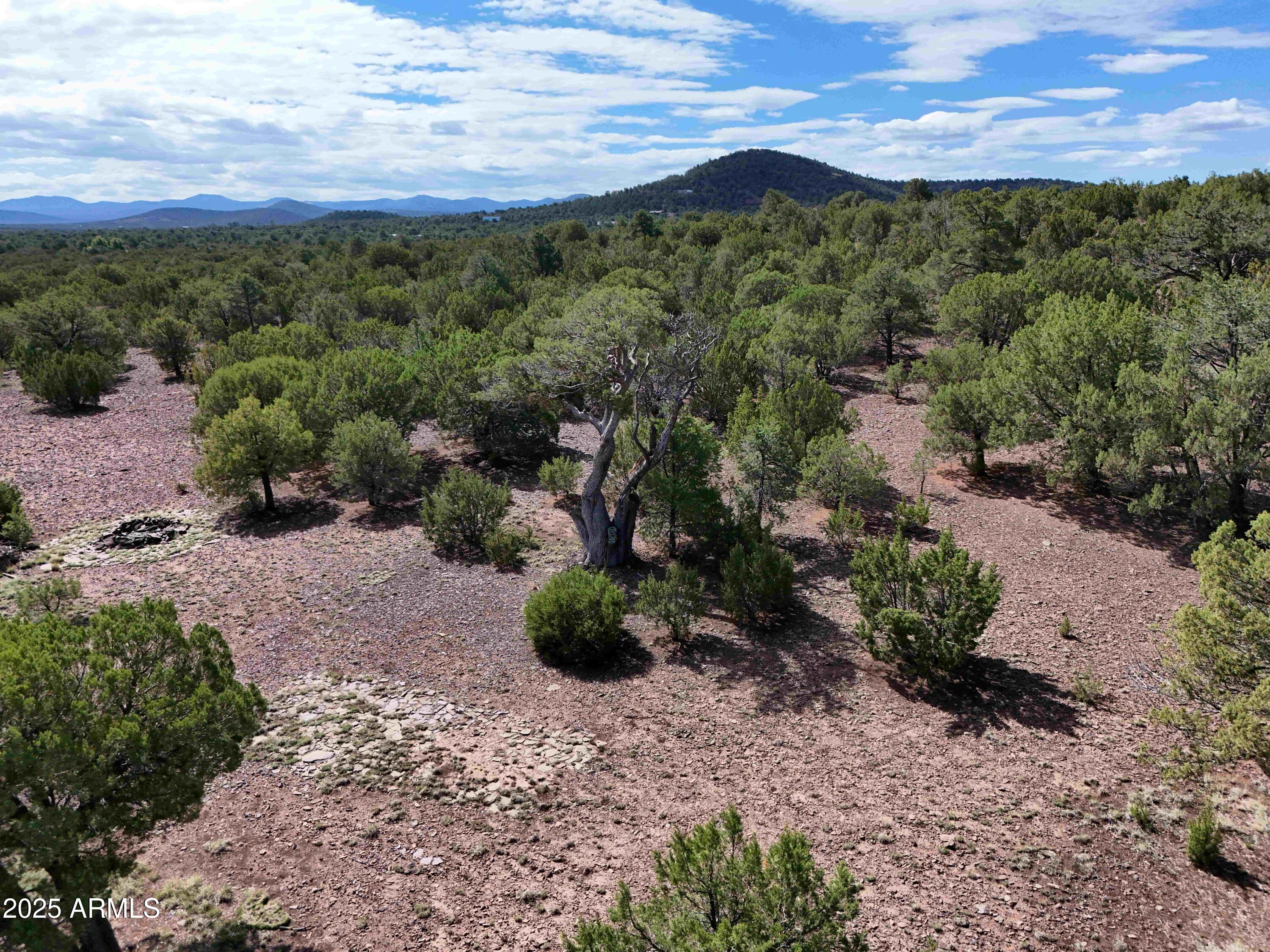 35554 State Route 260 Show Low, AZ 85901 - Photo 12 of 27 a view of a outdoor space with mountain view