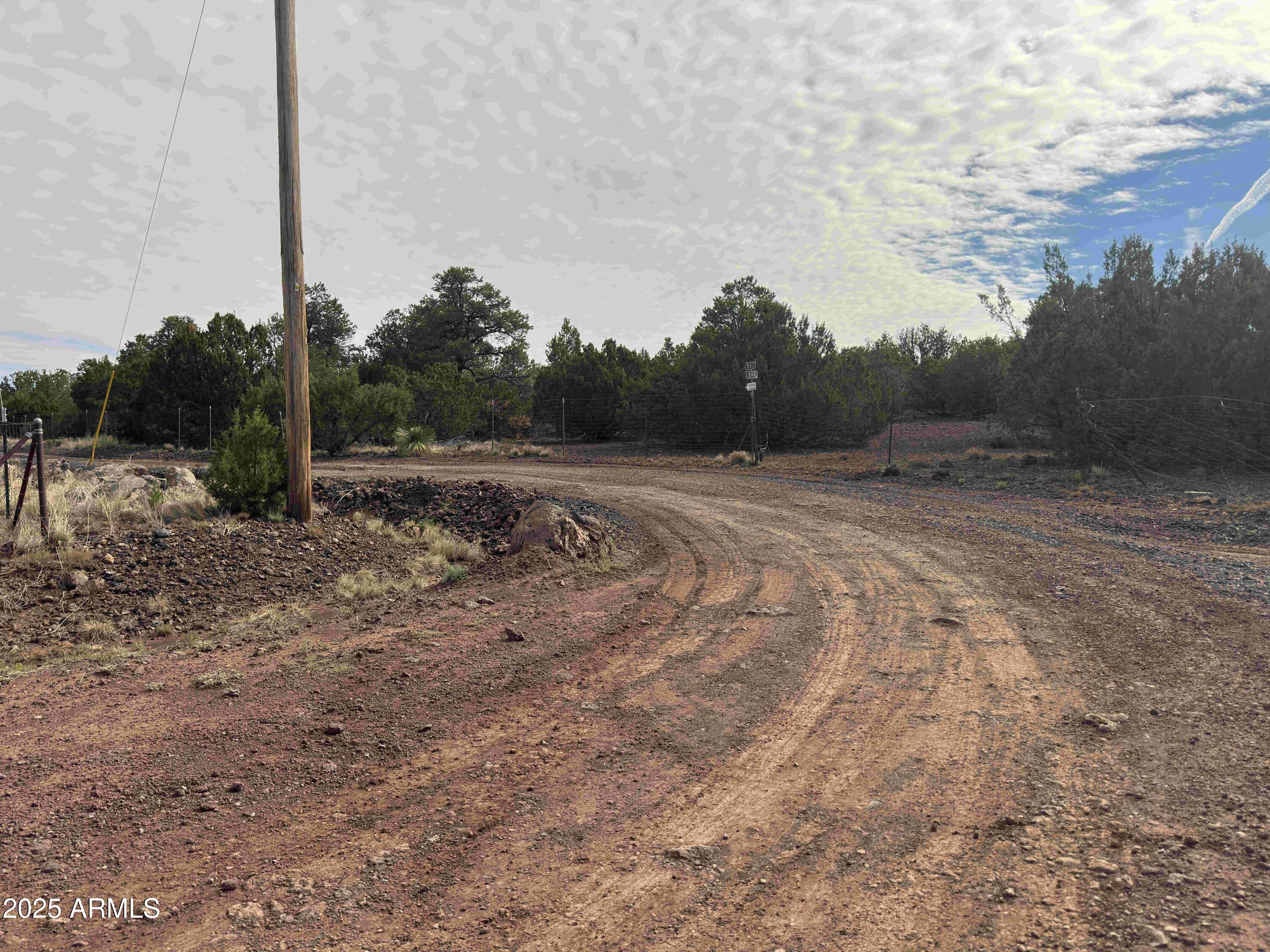 35554 State Route 260 Show Low, AZ 85901 - Photo 23 of 27 a view of dirt road with large trees