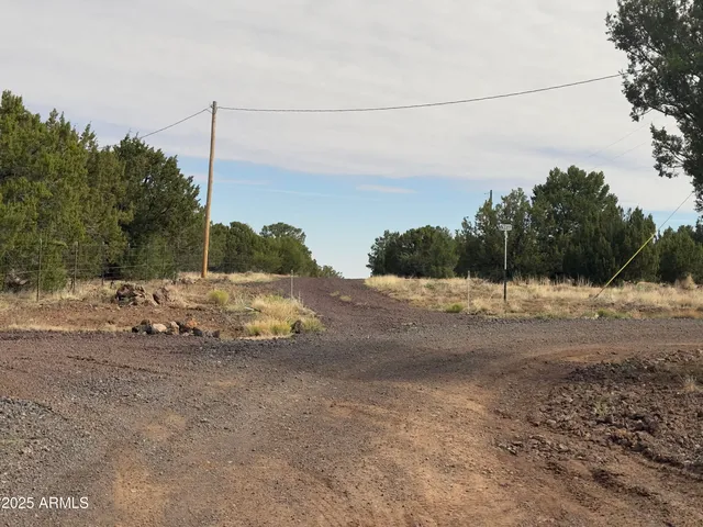 a view of a yard with wooden fence