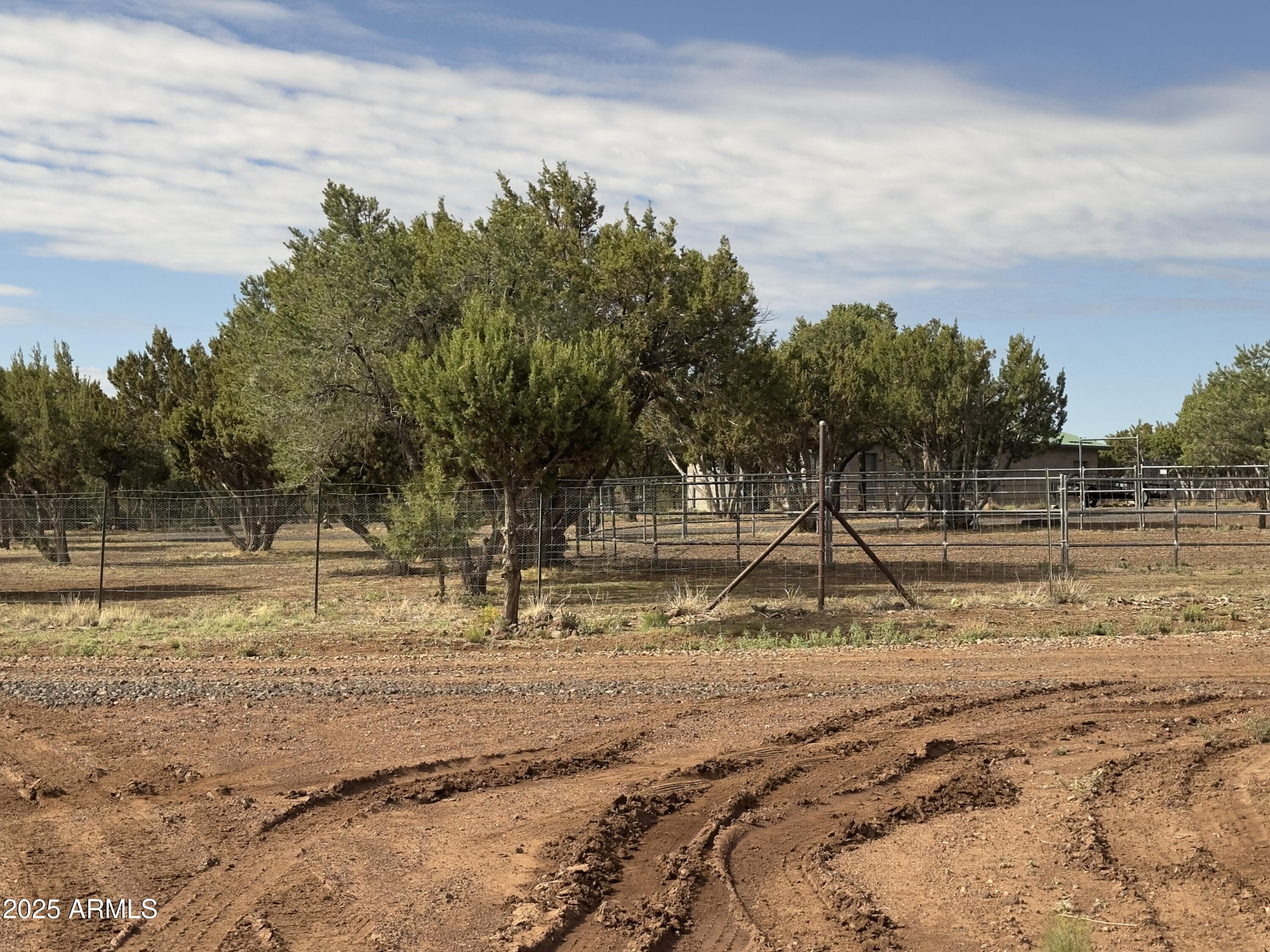 35554 State Route 260 Show Low, AZ 85901 - Photo 27 of 27 a view of a yard with wooden fence