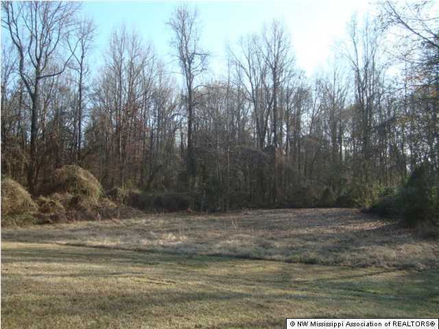 2329 Lester Road Nesbit, MS 38651 - Photo 9 of 11 Additional Photo
