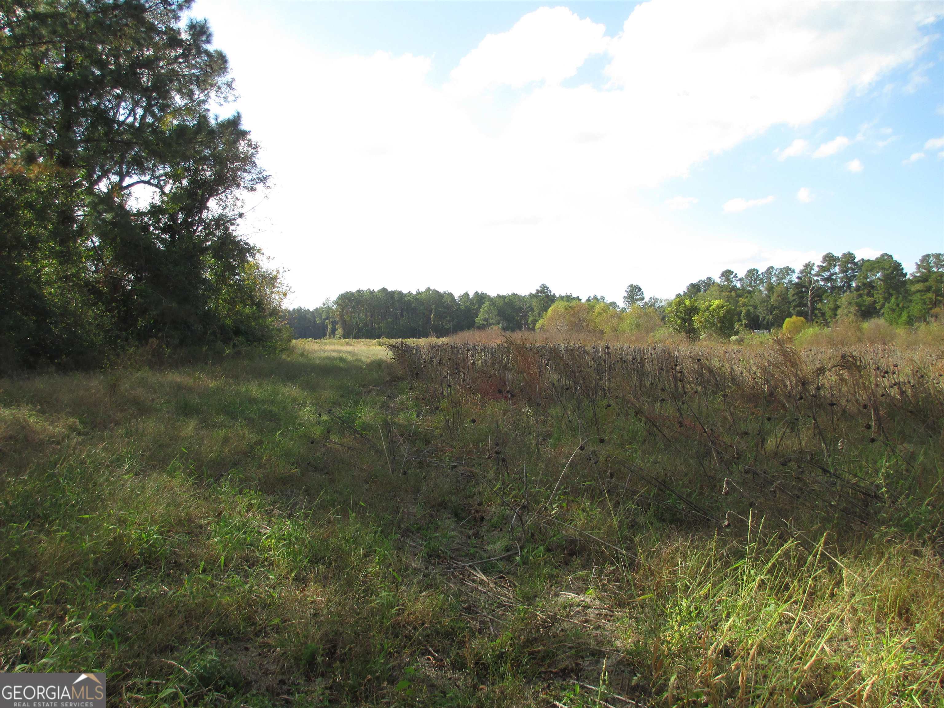 146 Kirkland Still Road Hazlehurst, GA 31539 - Photo 1 of 1 Gallery Image 1
