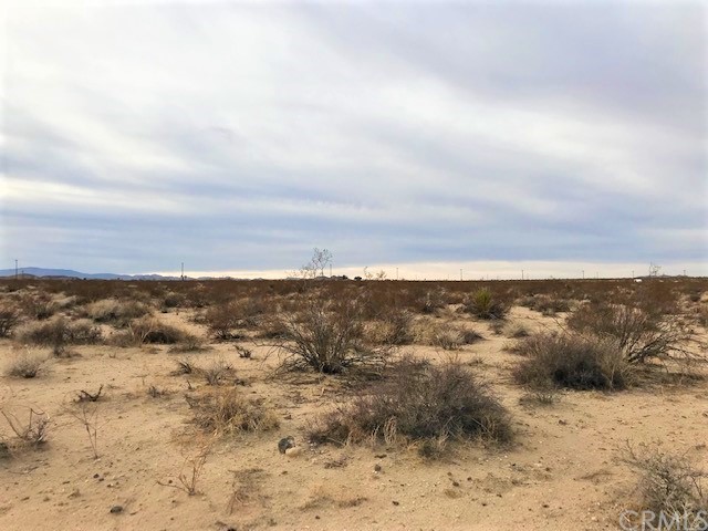 0 Mercury Avenue Joshua Tree, CA 92252 - Photo 1 of 1 Gallery Image 1
