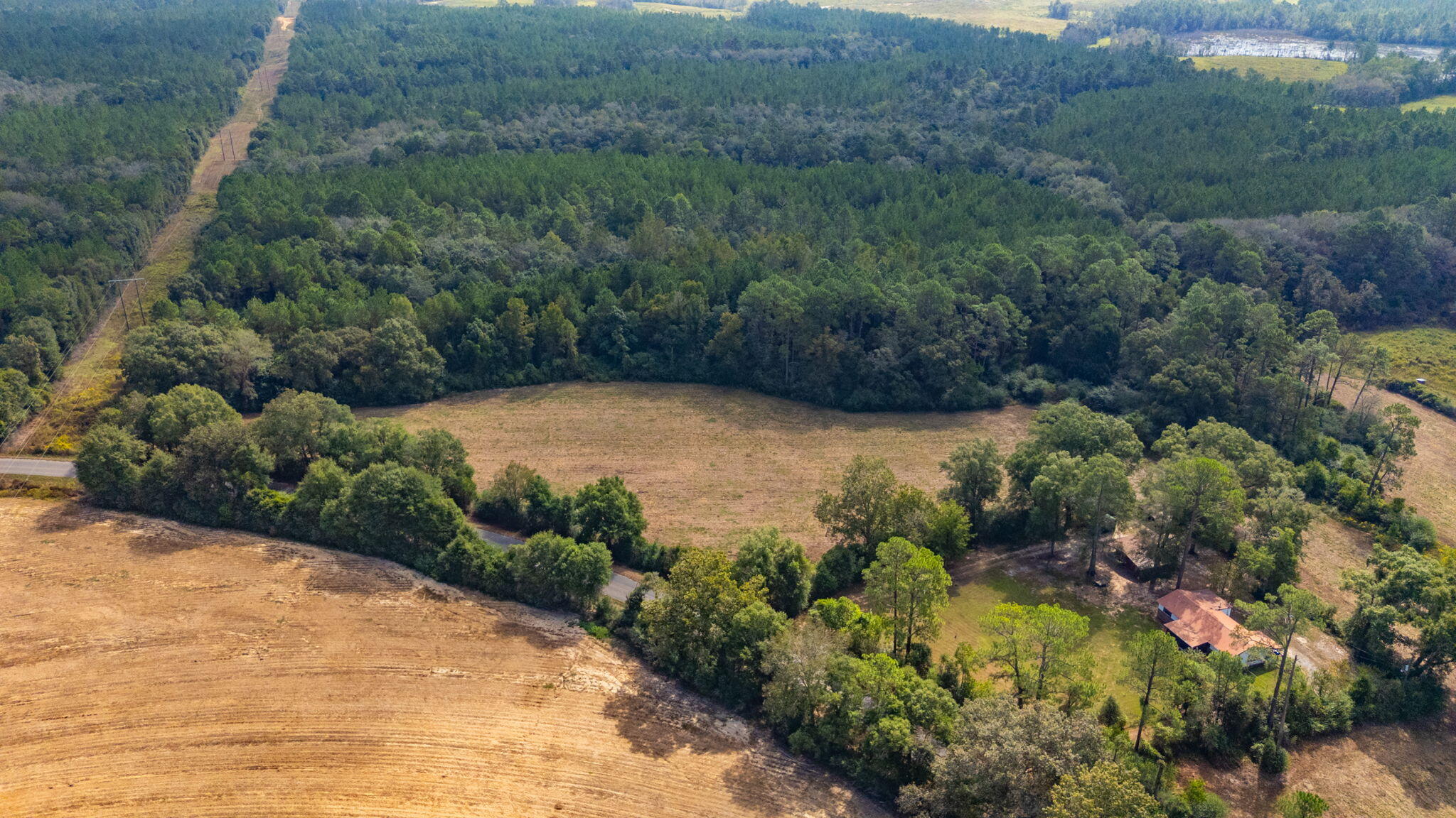 5.65-acre Prescott Road Florala, AL 36442 - Photo 5 of 36 63-web-or-mls-1950-prescott-rd