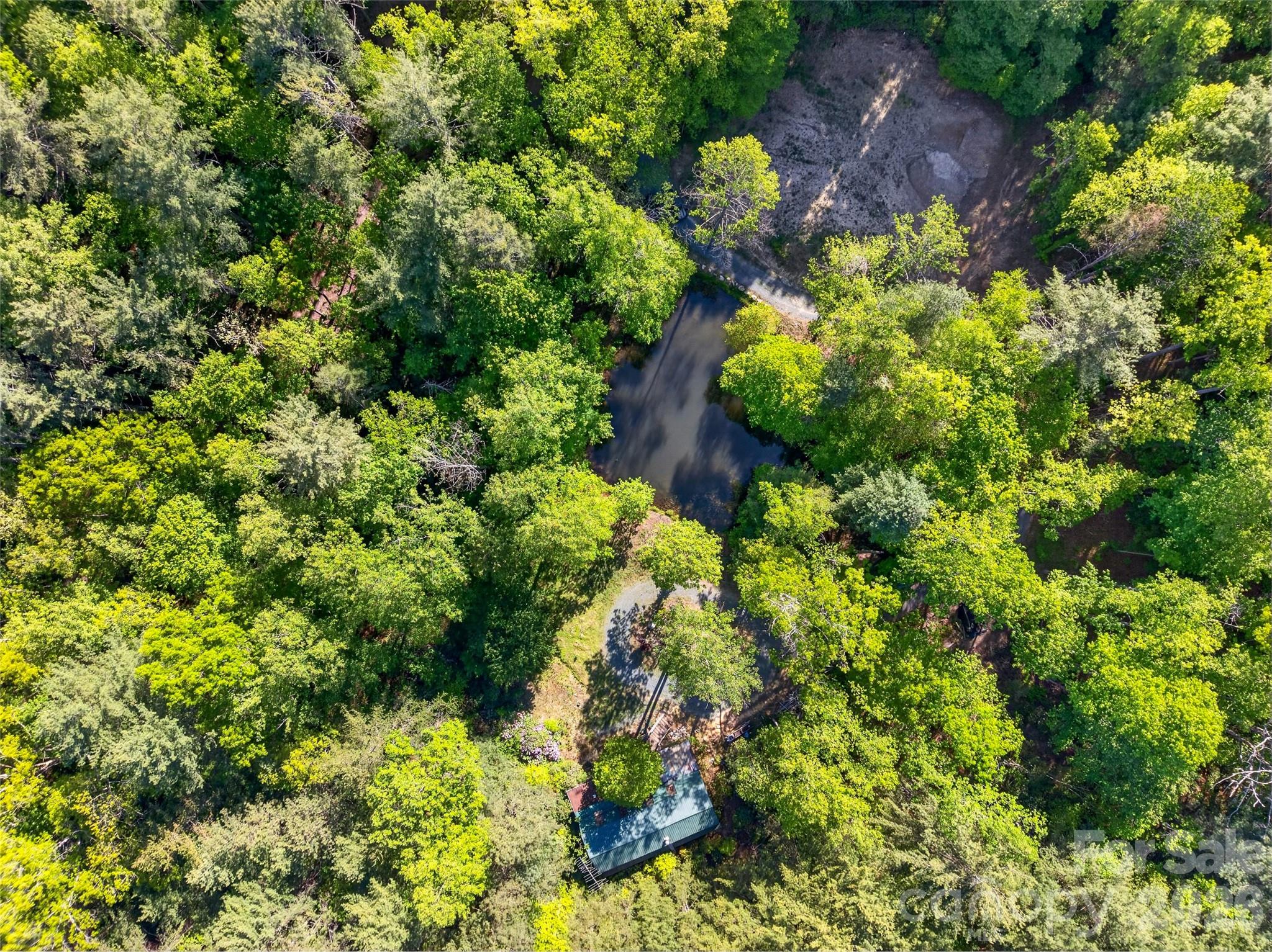 451 Signal Tree Road Deep Gap, NC 28618 - Photo 12 of 26