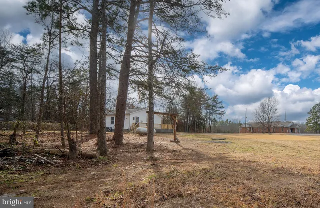 a view of a park with large trees