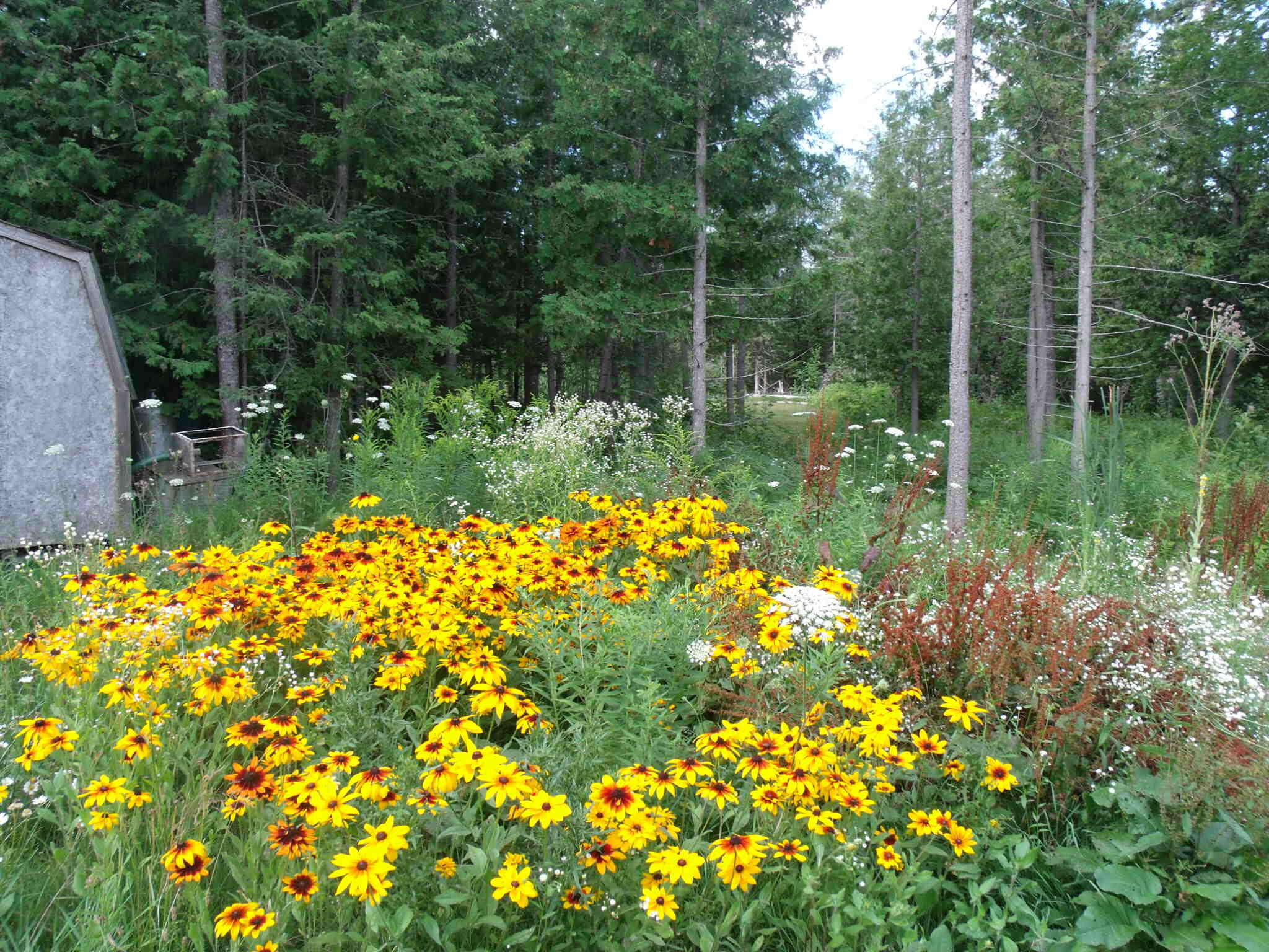 4750 Onaway Road Indian River, MI 49749 - Photo 94 of 102 Gallery Image 94