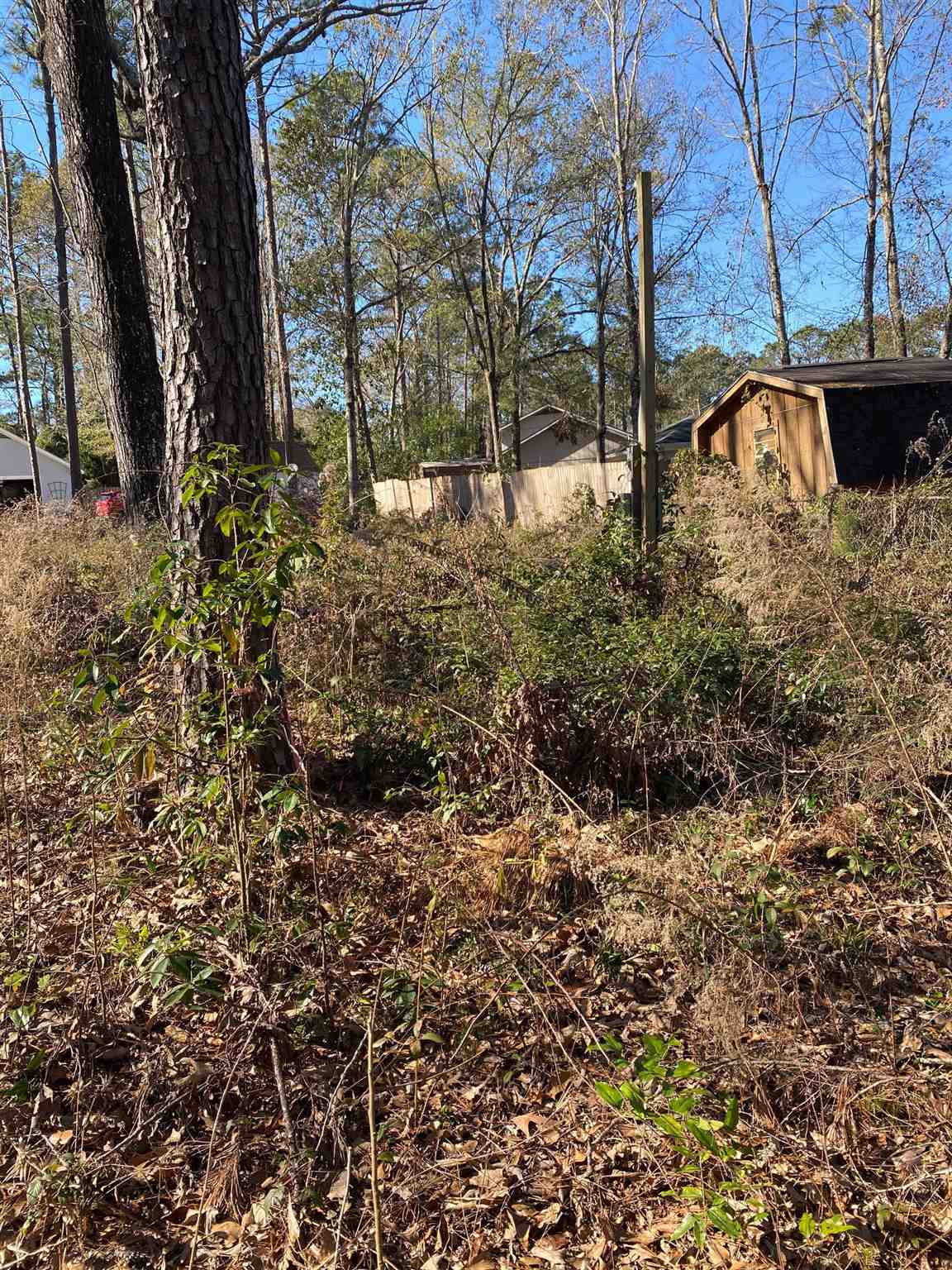 607 Ridgewood Drive Daphne, AL 36526 - Photo 5 of 8