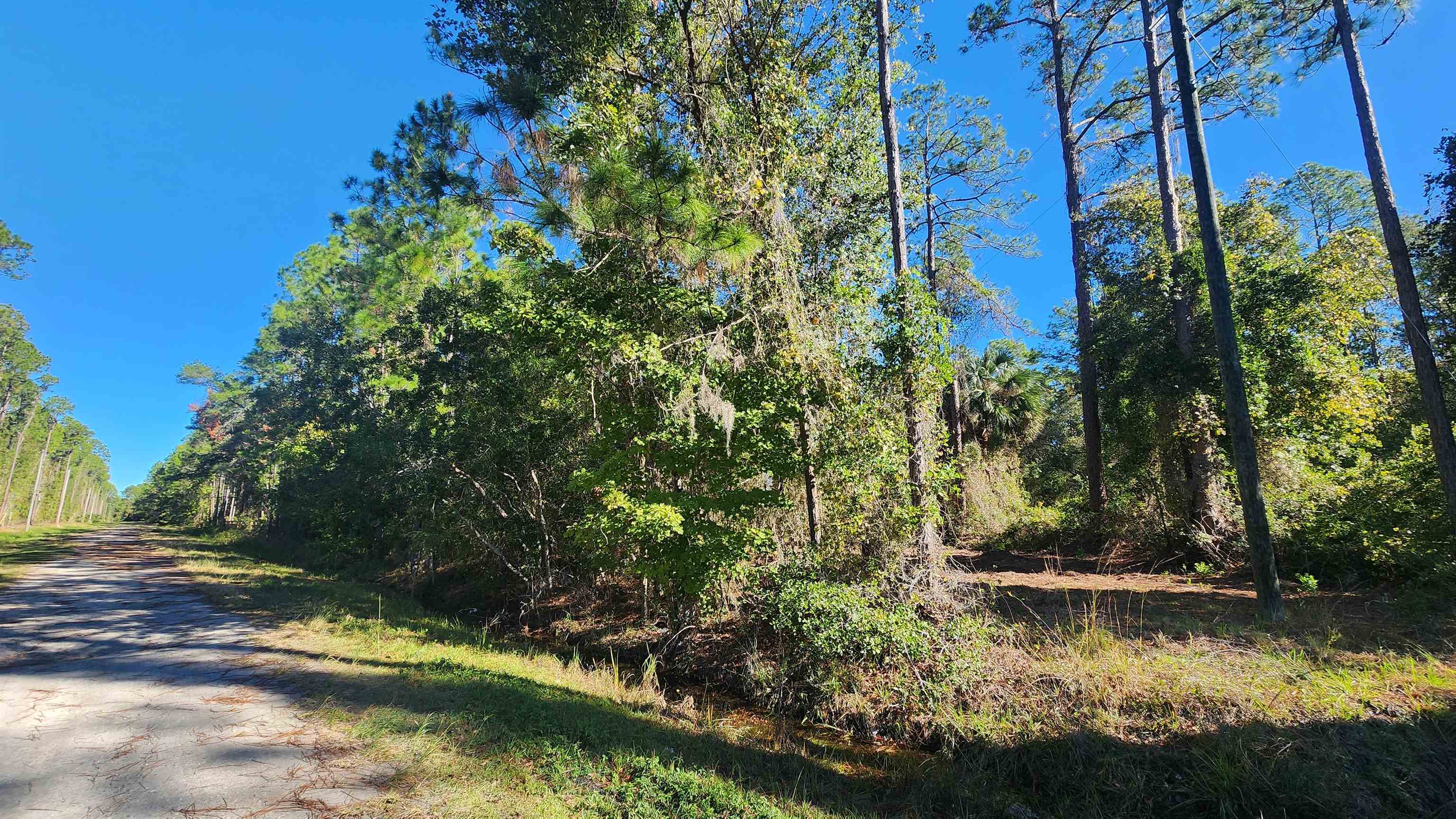 Tbd Georgetown Denver Road Georgetown, FL 32139 - Photo 3 of 8 a view of swimming pool with a yard