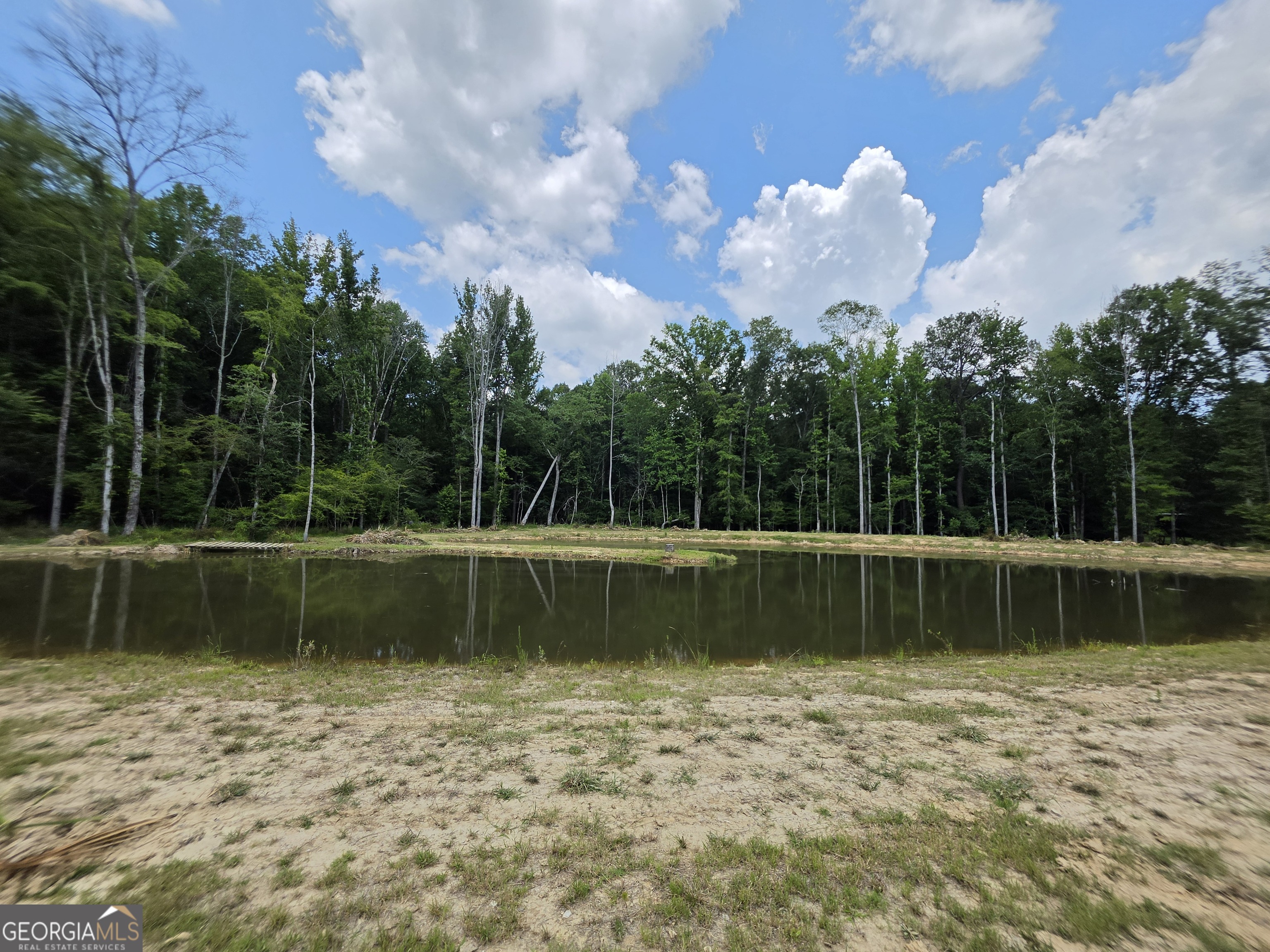 0 Court Ground Washington, GA 30673 - Photo 16 of 46 Gallery Image 16