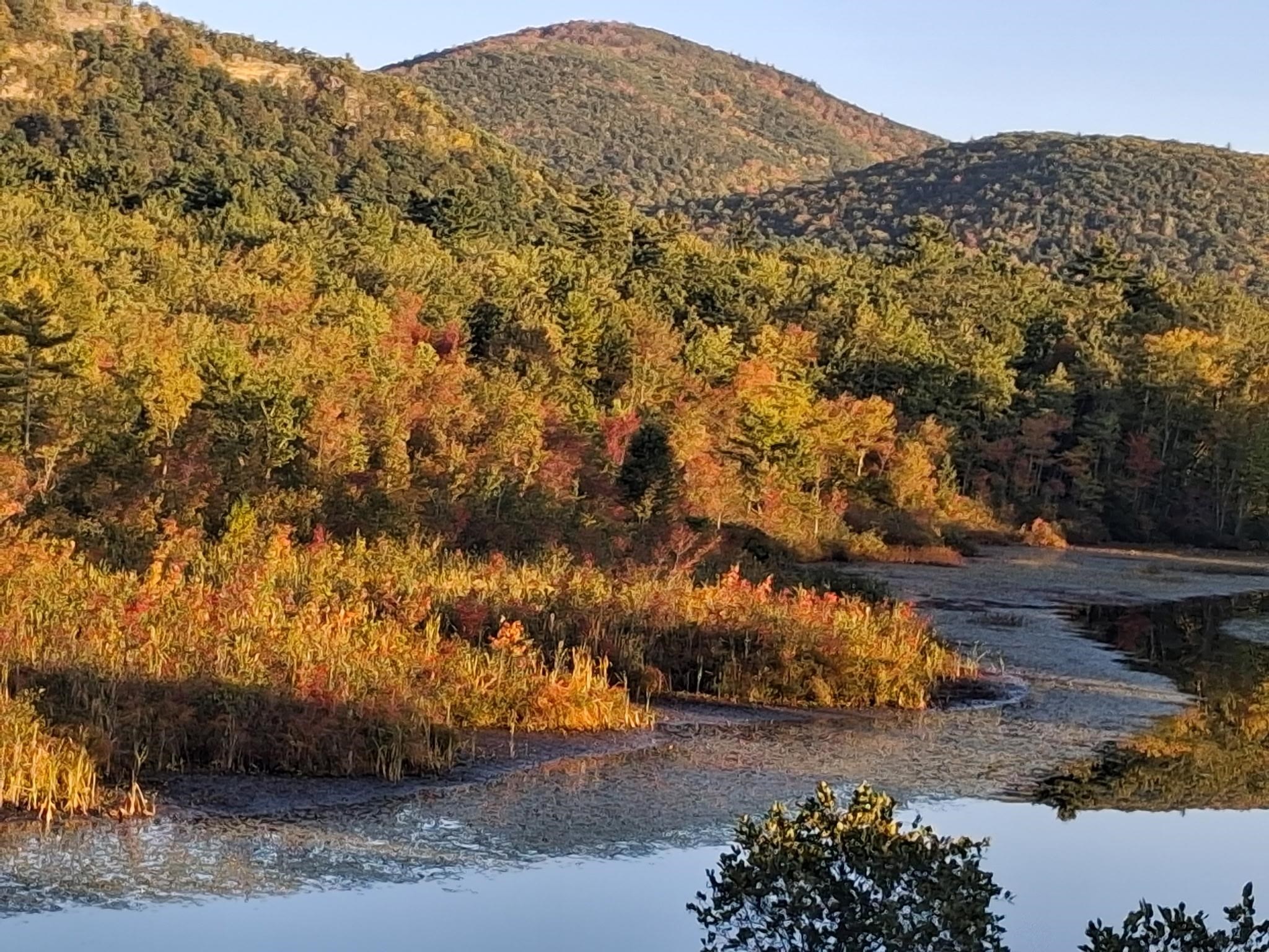 48 Western Shores Road Wells, VT 05774 - Photo 28 of 40