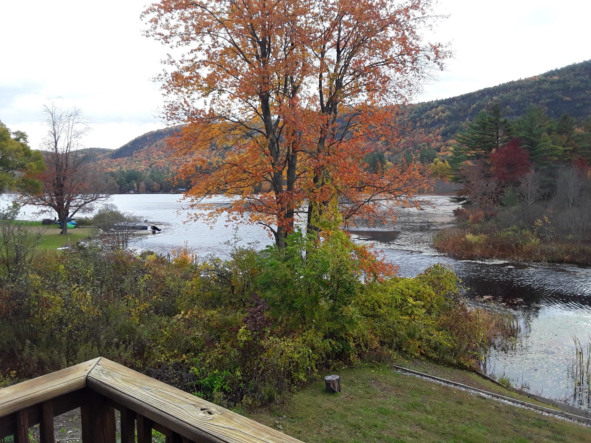 48 Western Shores Road Wells, VT 05774 - Photo 29 of 40