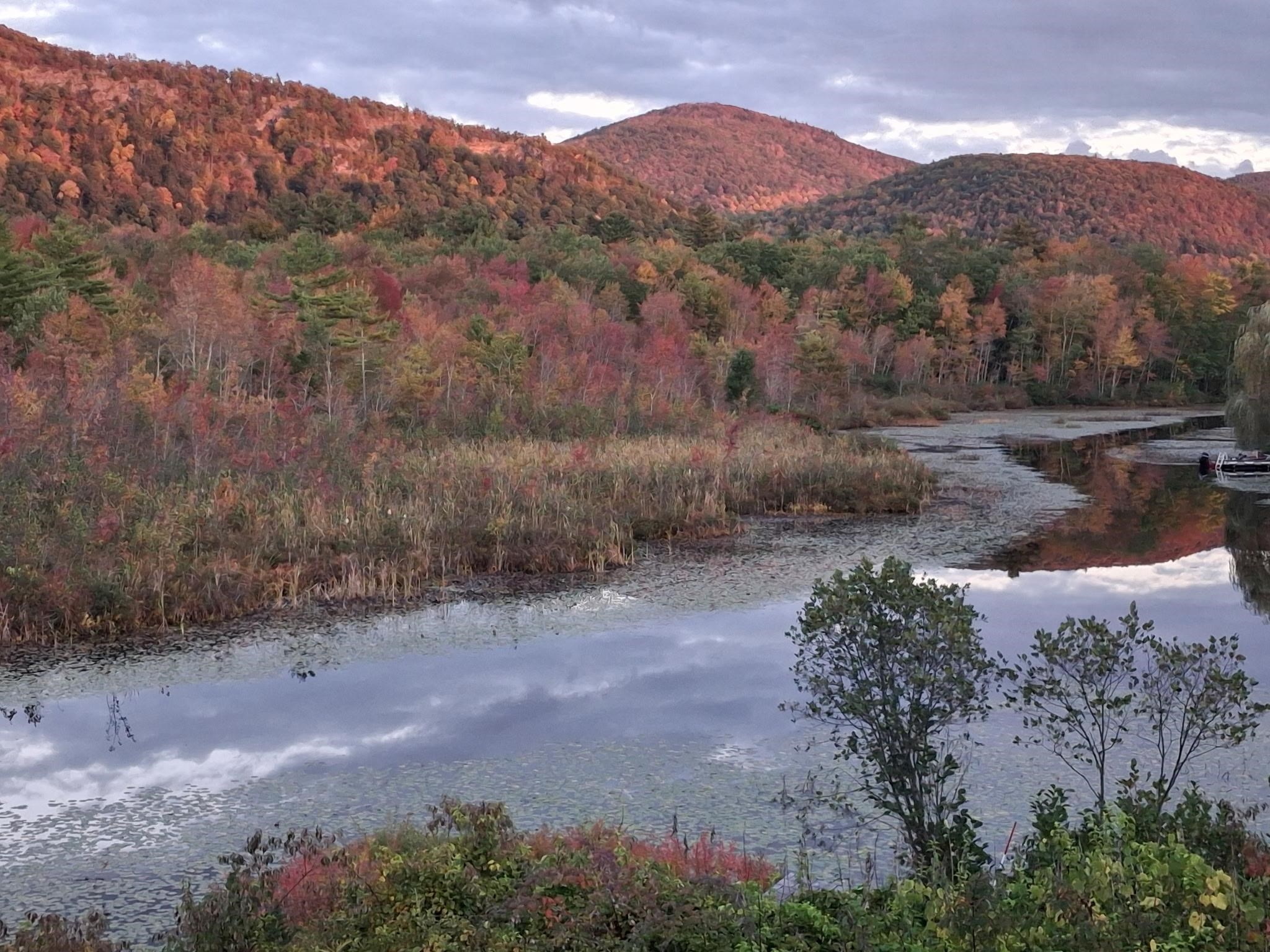 48 Western Shores Road Wells, VT 05774 - Photo 37 of 40