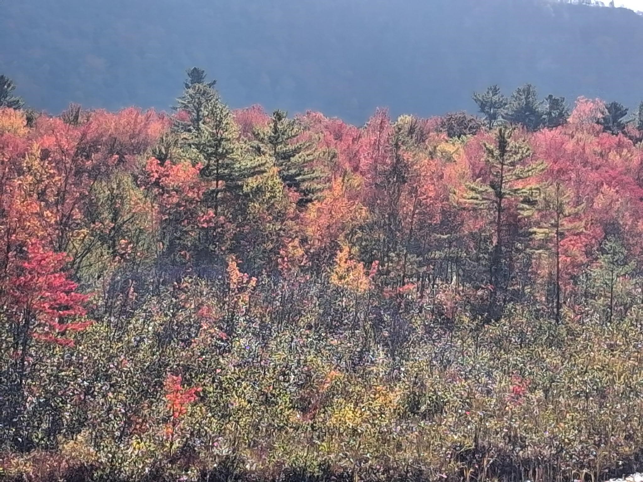 48 Western Shores Road Wells, VT 05774 - Photo 39 of 40