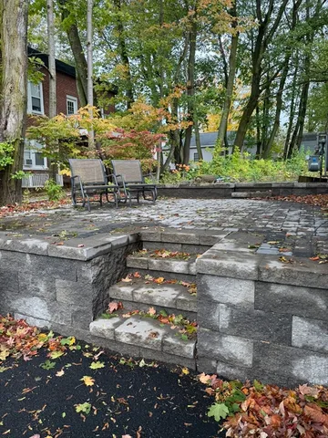 a view of a yard with plants