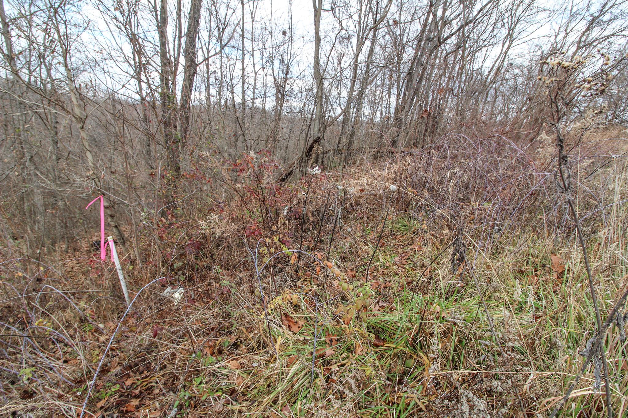 0 Virginia Ridge Road Philo, OH 43771 - Photo 5 of 29 IMG_7593
